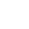 Image module