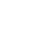 Image module