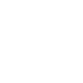 Image module