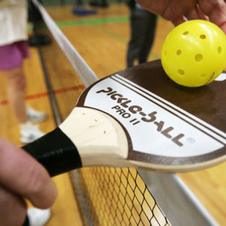 Pickle Ball Program