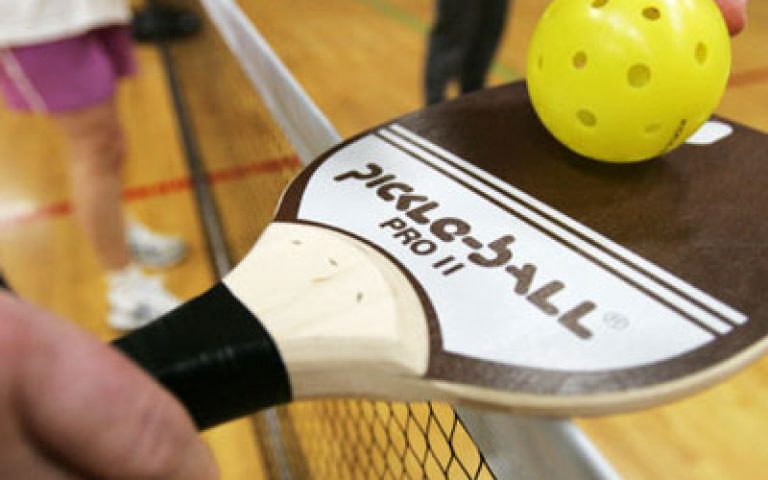 Pickle Ball Program