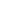 Image module