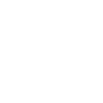 Image module
