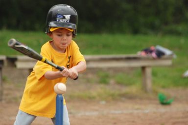 Summer T-ball/Coaches Pitch