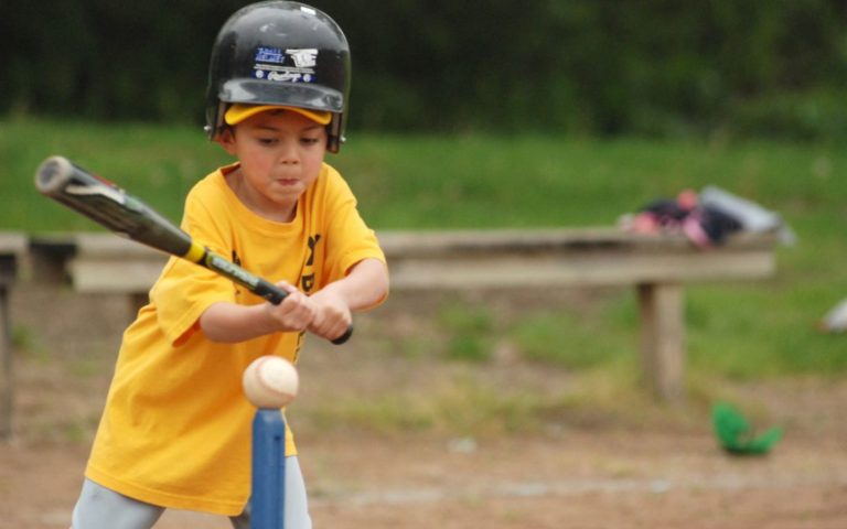Summer T-ball/Coaches Pitch
